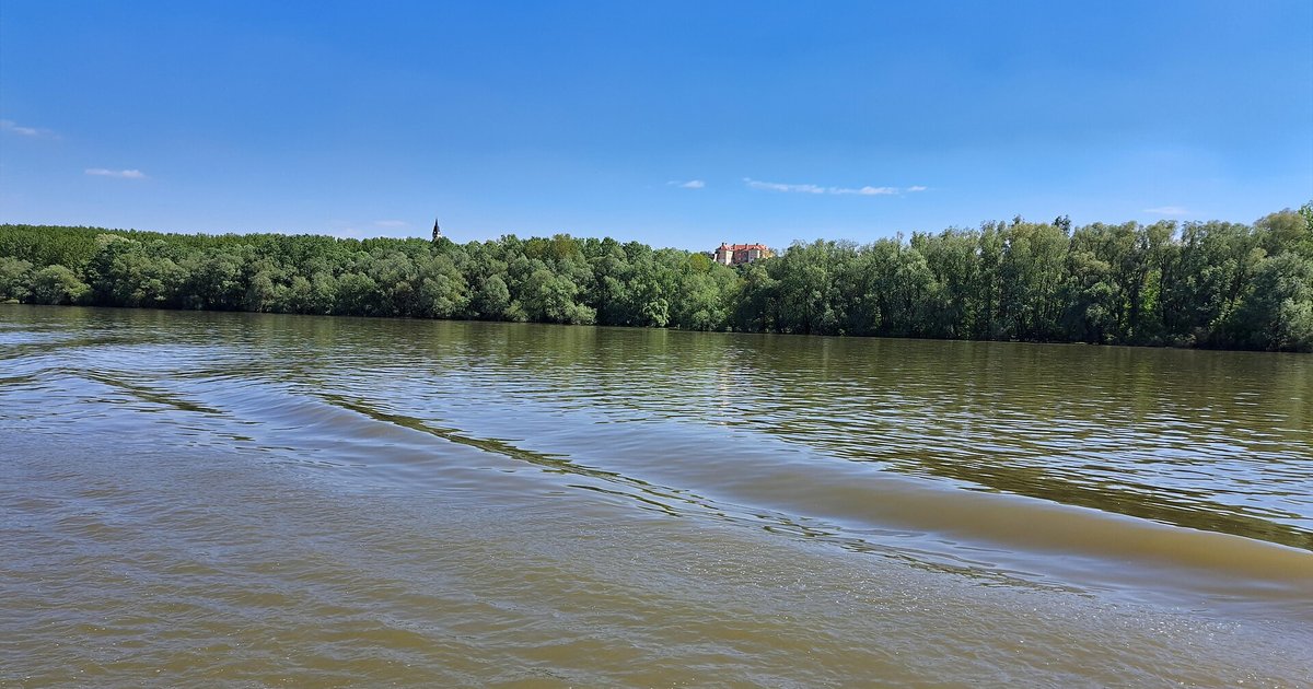 How the world writes about Verdis: teenagers founded a state on the Danube, police expelled the "youngest president"