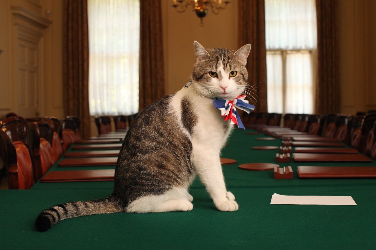 Cat Larry has outlasted six prime ministers at Downing Street. Starmer is the latest so far