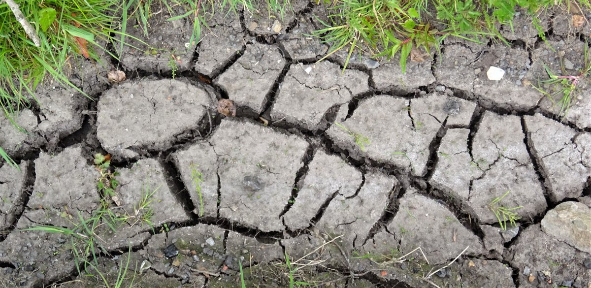 Water restrictions in 30 Slovak and 120 Hungarian municipalities, Nitra convenes crisis staff. Cooling is coming, the deficit isn't