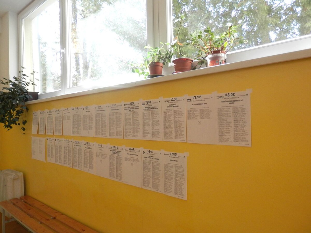 56 Candidates Are Running for Eight Regional Governor Seats. Prešov Region Has Eleven, Trenčín Four