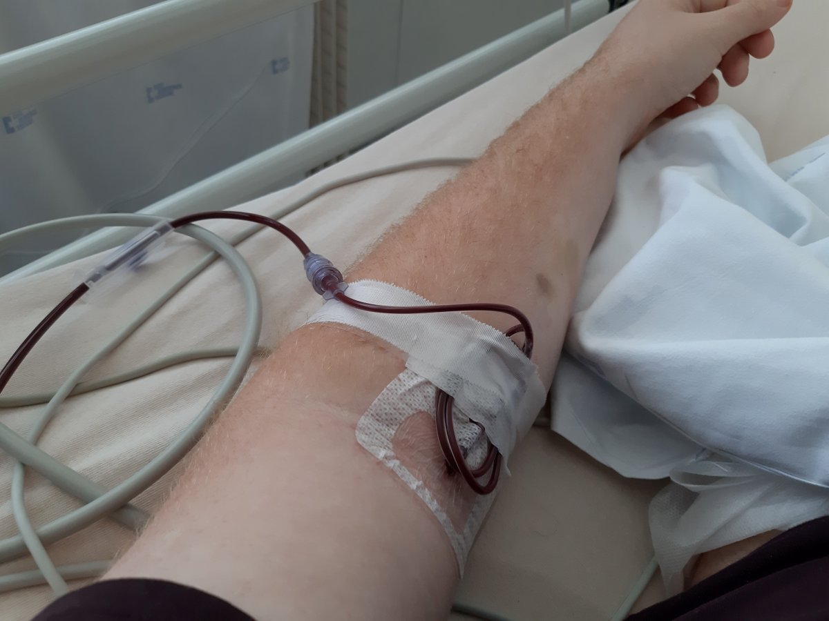 Svědkové Jehovovi povolili čtyři hlavní složky krve. Zákaz zůstal jen u plné krve, která se v běžné nemocnici podává jen zřídka