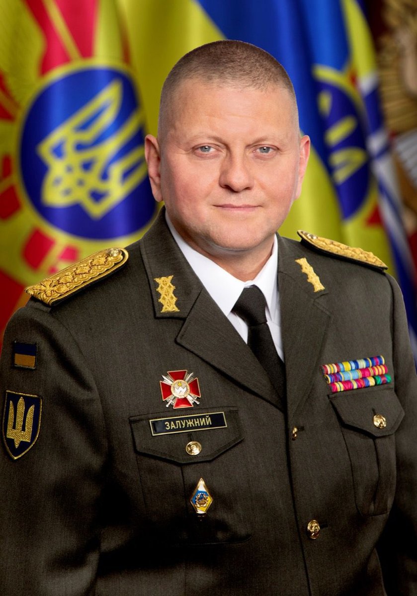 Zaluzhnyi questions Ukraine's chances of joining NATO