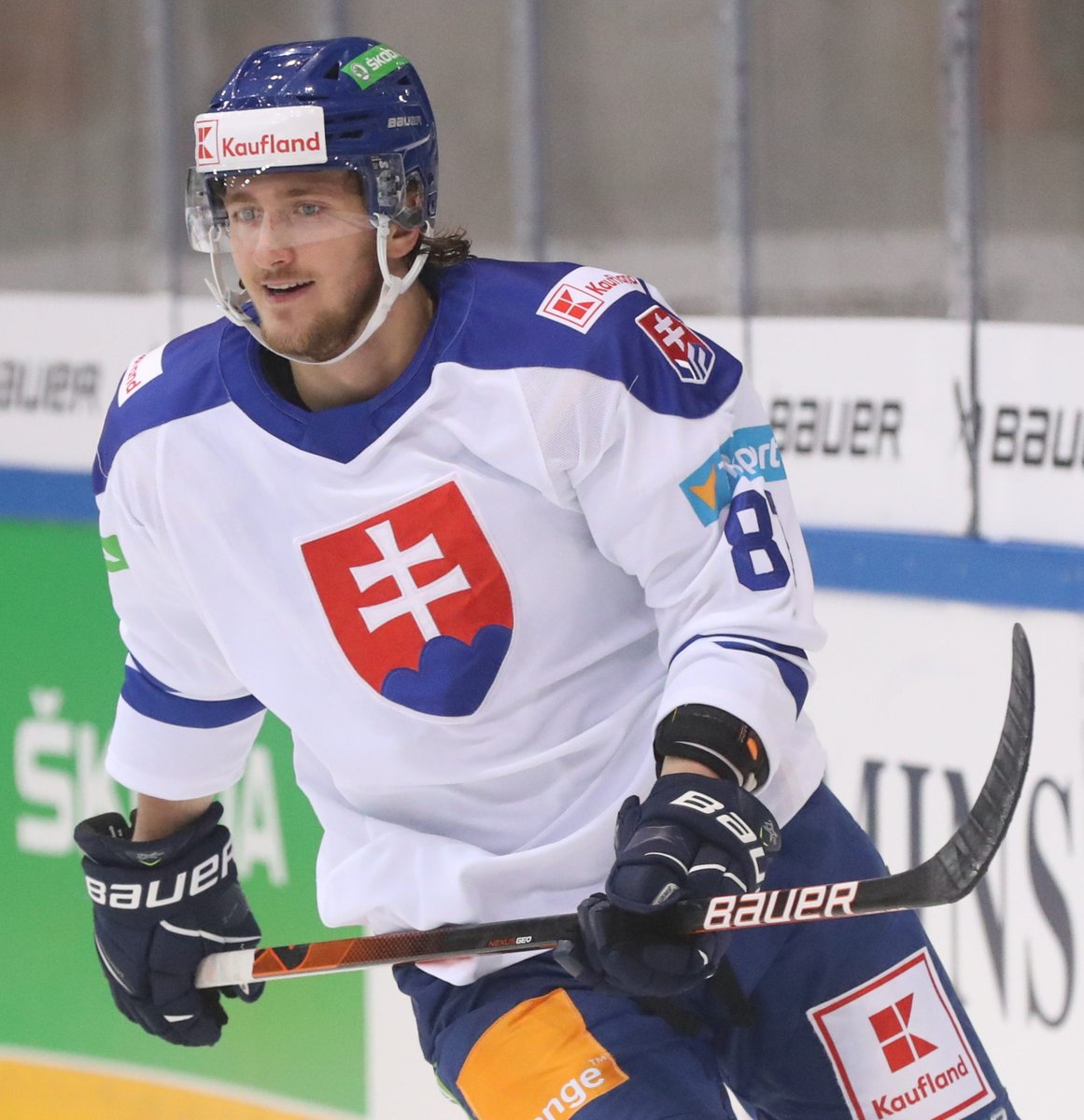 Pavol Regenda scored a hat trick for HV 71, but the team lost in Växjö