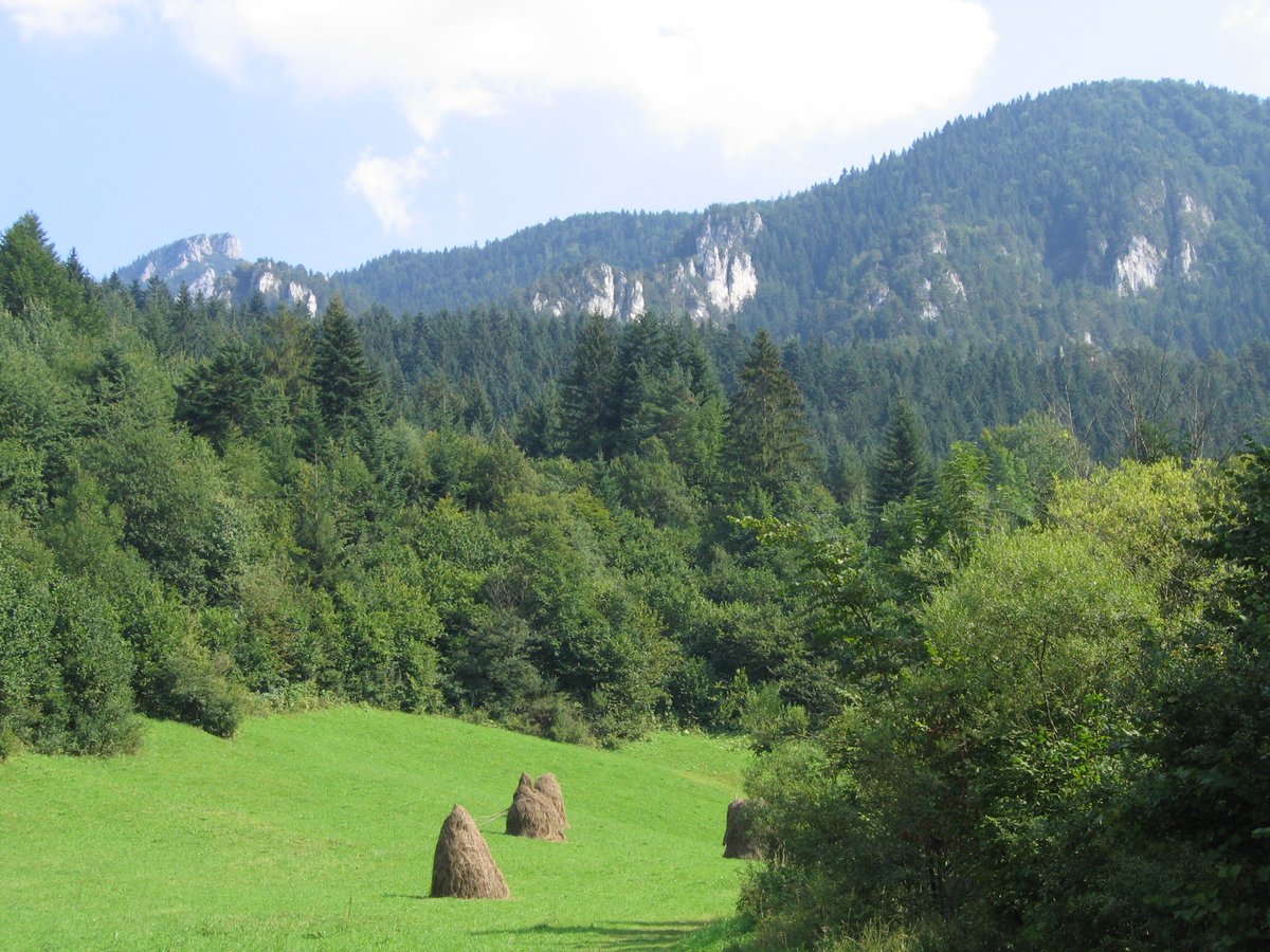 Malá Fatra will not be abolished, but Kuffa keeps pushing for a nature park