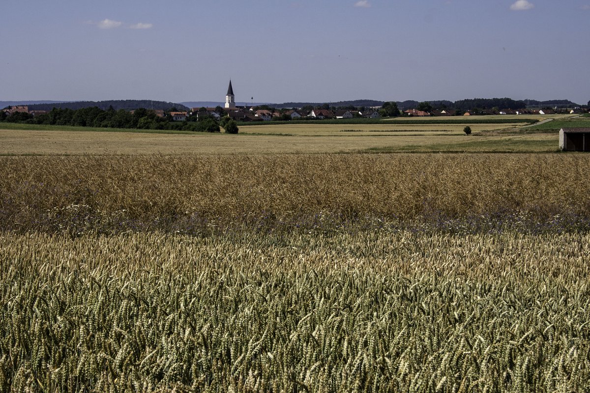 Střelec z Berngau byl kdysi policejním elévem